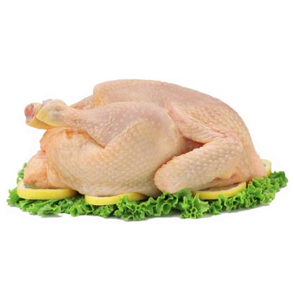 Pollo en Canal