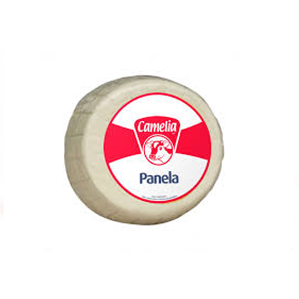 Queso Panela Camelia