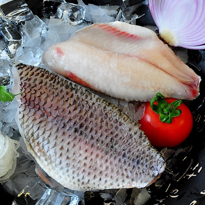 Mojarra Tilapia